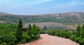 陵园风景图-4