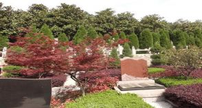 陵园风景图-7
